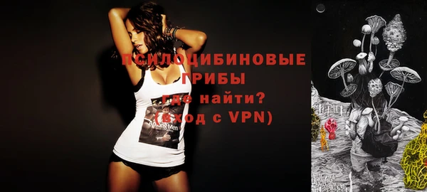 крисы Белоозёрский
