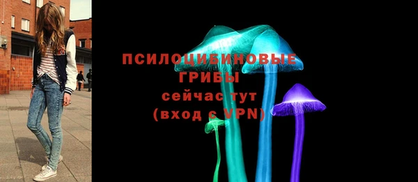 марихуана Белокуриха